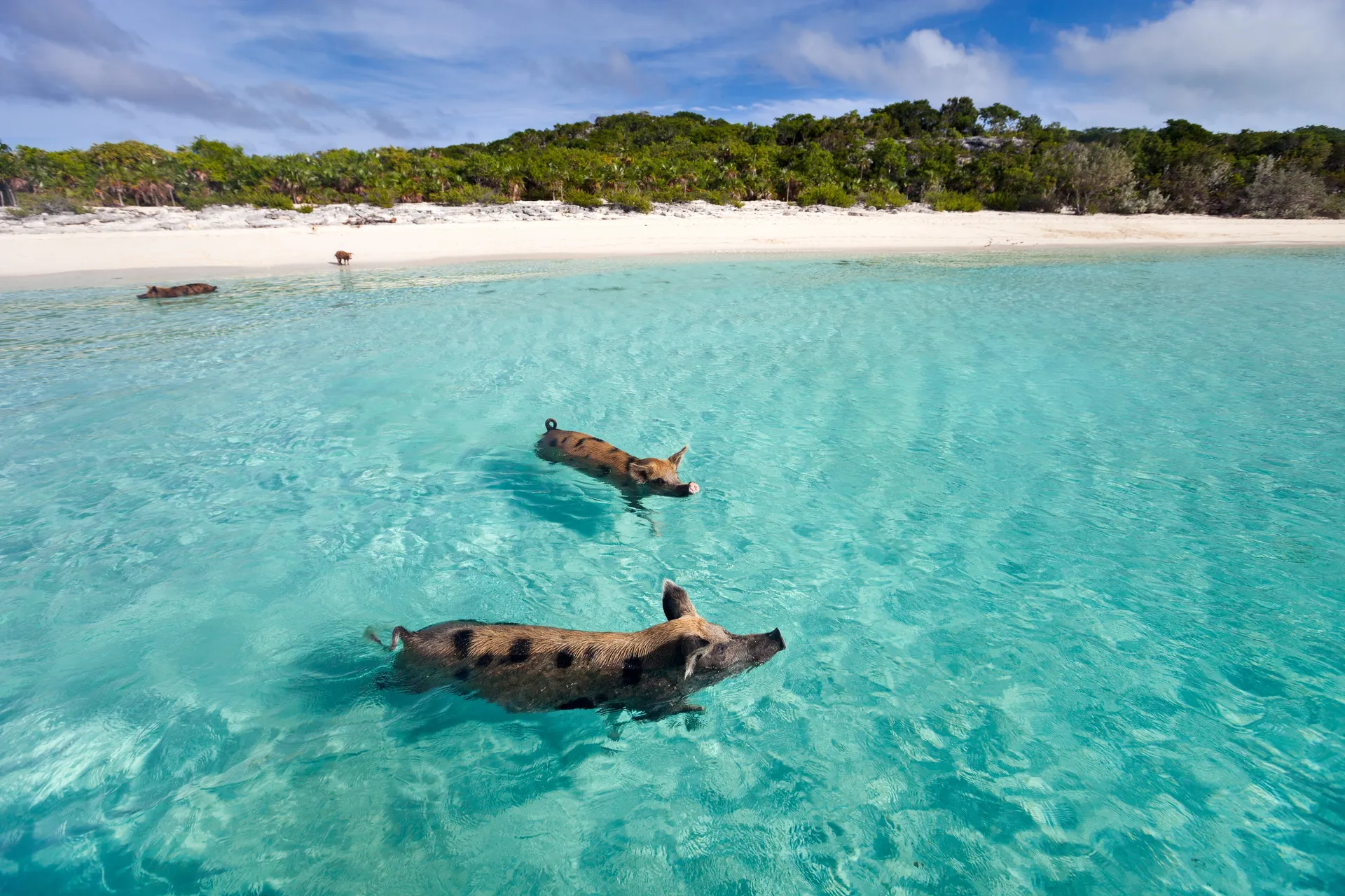 Bahamas 3